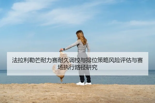 fa-la-li-lei-mang-nai-li-sai-nai-jiu-diao-xiao-yu-pai-wei-ce-lve-feng-xian-ping-gu-yu-sai-chang-zhi-xing-lu-jing-yan-jiu-2-163.jpg